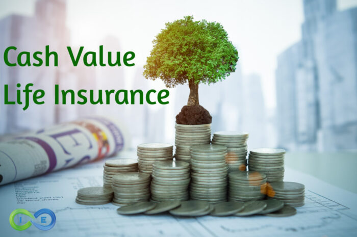 Whole Life Insurance Policy With Cash Value